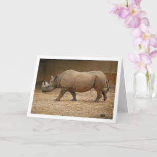 Nashorn beim Gehen Karte