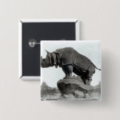 Nashorn Button (Vorne & Hinten)