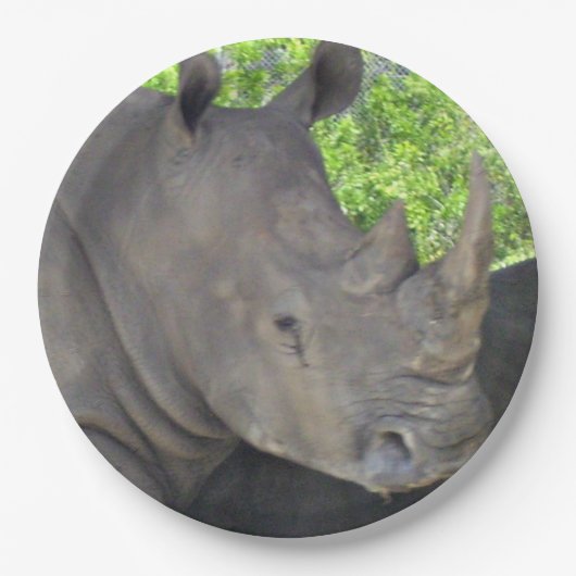 Nashorn Gesicht Pappteller (Vorderseite)
