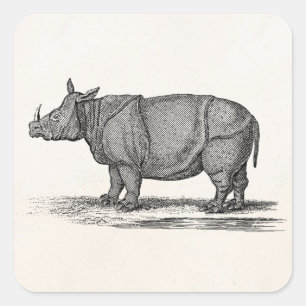 Nashorn-Illustration aus dem 19. Jahrhundert - Rhi Quadratischer Aufkleber