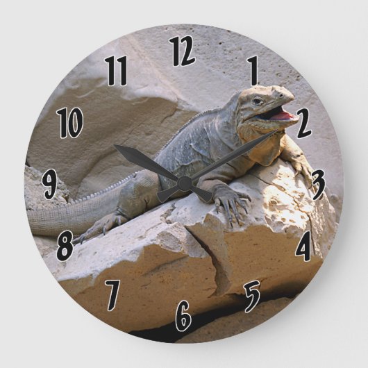 Nashorn-Leguan Große Wanduhr (Vorderseite)