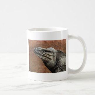 Nashorn-Leguan Kaffeetasse