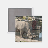 Nashorn Magnet (Vorderseite/Rückseite)