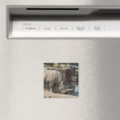 Nashorn Magnet (In Situ (Geschirrspüler))