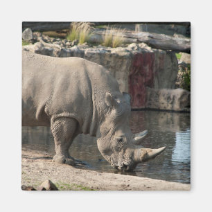Nashorn Magnet