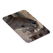 Nashorn Magnet (Rechte Seite)