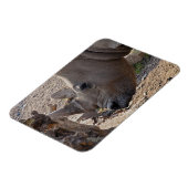 Nashorn Magnet (Linke Seite)