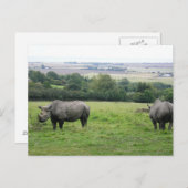 Nashorn Postkarte (Vorne/Hinten)