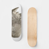 Nashorn Skateboard (Vorderseite)
