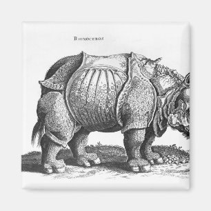 Nashorn, von 'Historia Animalium Magnet