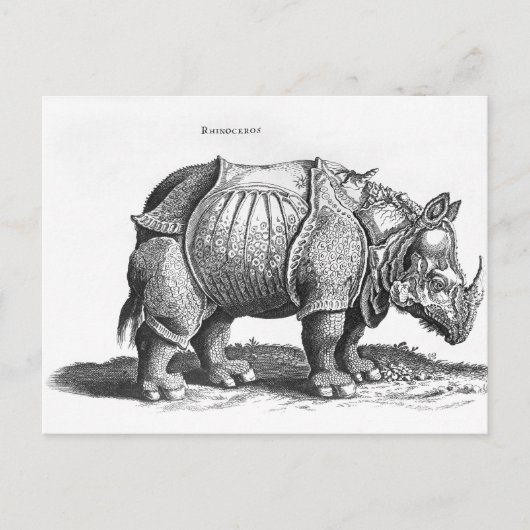 Nashorn, von 'Historia Animalium Postkarte (Vorderseite)