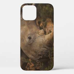 NASHORN WILDE TIERE Case-Mate iPhone HÜLLE