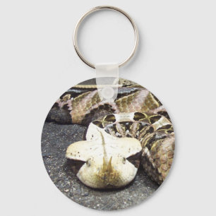 Nashornviper Schlüsselanhänger