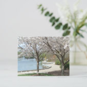 Nashville - Centennial Park in Bloom Postkarte (Stehend Vorderseite)