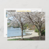Nashville - Centennial Park in Bloom Postkarte (Vorne/Hinten)