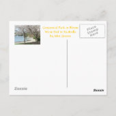 Nashville - Centennial Park in Bloom Postkarte (Rückseite)