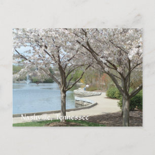 Nashville - Centennial Park in Bloom Postkarte