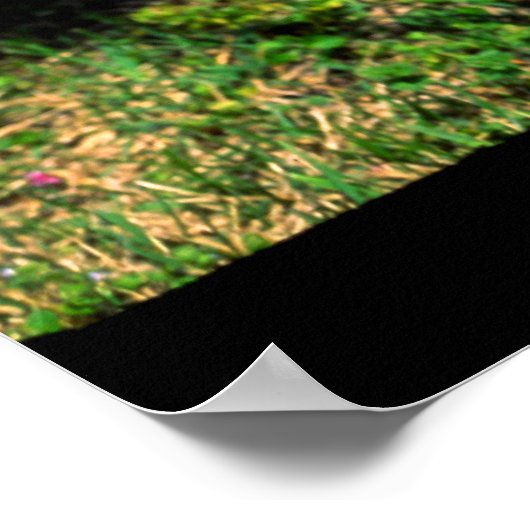 Nashville-Hydranten Poster (Ecke)