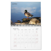 Nashville-Liebhaber Kalender (Feb 2027)