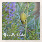 Nashville Warbler Glasuntersetzer (Vorderseite)