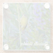 Nashville Warbler Glasuntersetzer (Rückseite)