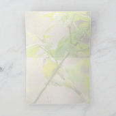 Nashville Warbler Karte (Innenseite)