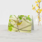 Nashville Warbler Karte (Gelbe Blume)