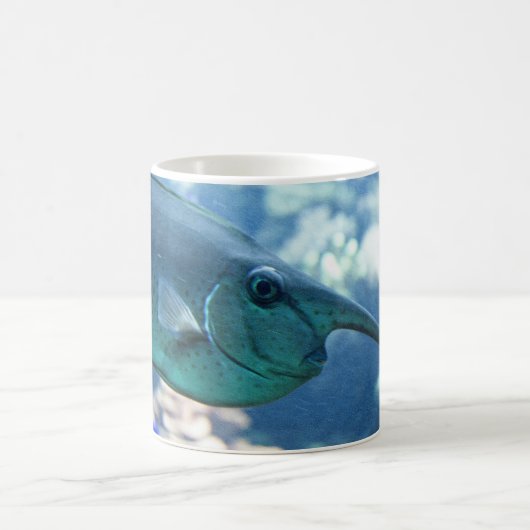 Naso brevirostris kaffeetasse (Mittel)