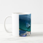 Naso brevirostris kaffeetasse (Links)