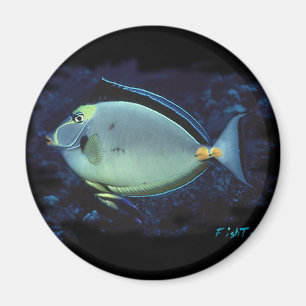 Naso Tang Magnet