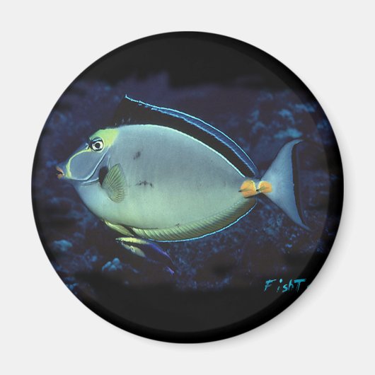 Naso Tang Magnet (Vorne)