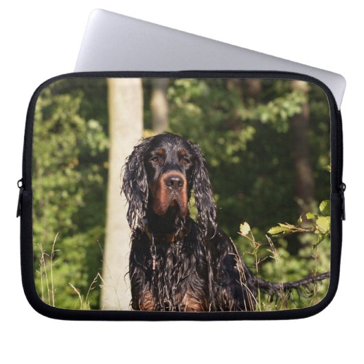 Nass Gordon Setter Notebook-Computer-Sieb Laptopschutzhülle (Vorderseite)