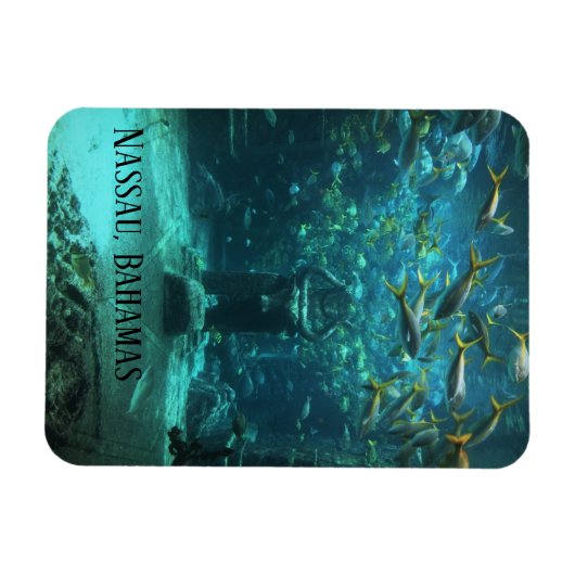 Nassau, Bahamas Atlantis Magnet (Horizontal)