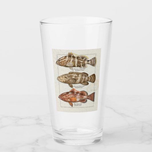 Nassau, Goliath und Red Grouper Drink Glass Glas (Vorderseite)