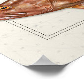 Nassau, Goliath und Red Grouper Poster (Ecke)