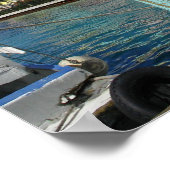 Nassau Harbour Poster (Ecke)