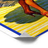 Nassau Jet Poster (Ecke)