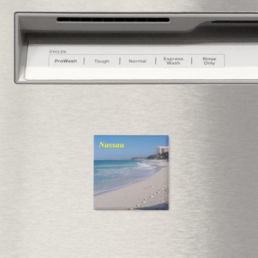 Nassauer Magnet (In Situ (Geschirrspüler))