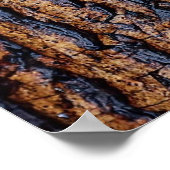 Nassbaumrinde Poster (Ecke)