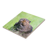 Nassbeere Fliese (Seite)