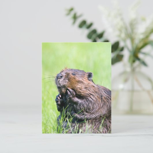 Nassbeere Postkarte (Stehend Vorderseite)