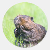 Nassbeere Runder Aufkleber (Vorderseite)