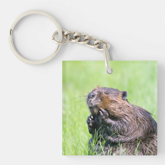 Nassbeere Schlüsselanhänger (Vorderseite)