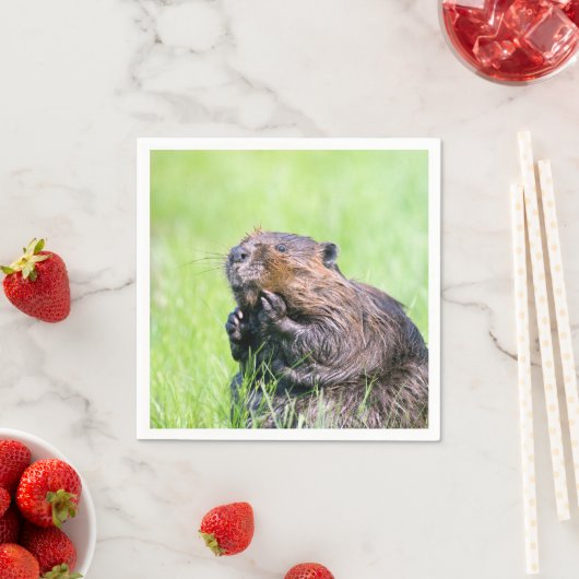 Nassbeere Serviette (Beispiel)