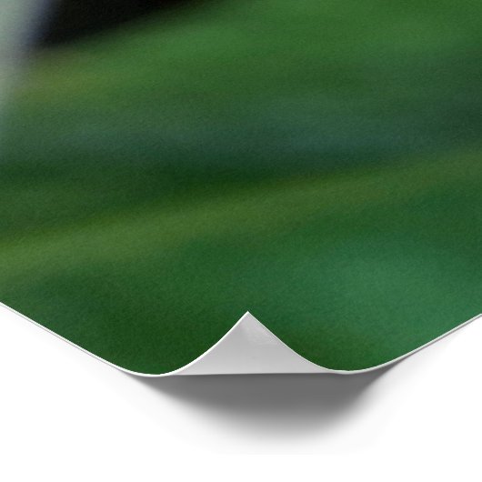 Nassblatt Poster (Ecke)