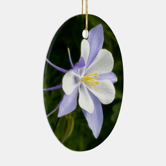 Nassblauer Kolumbin Keramikornament (Rechts)