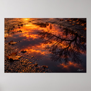 Nasse Asphalt-Sonnenuntergangs-Reflexionsfotografi Poster