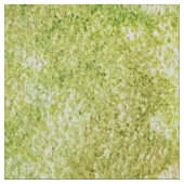 Nasse Blätter des Herbstes Stoff (Nahaufnahme)