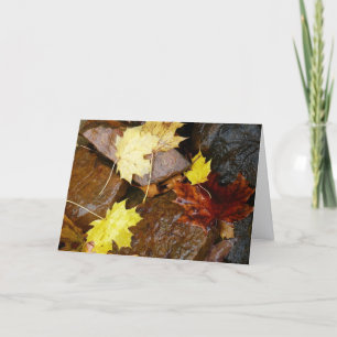 Nasse Blätter und Felsen Herbst-Naturfotografie Karte