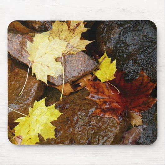 Nasse Blätter und Steine Herbstfotografie Mousepad (Vorne)
